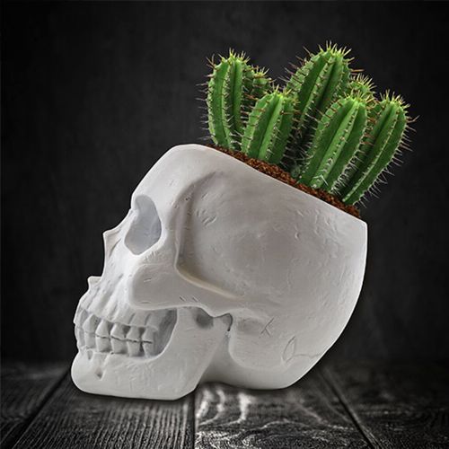 Nevelj saját kaktuszt koponya kaspóból
