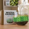 Növessz saját vízinövény-kertet